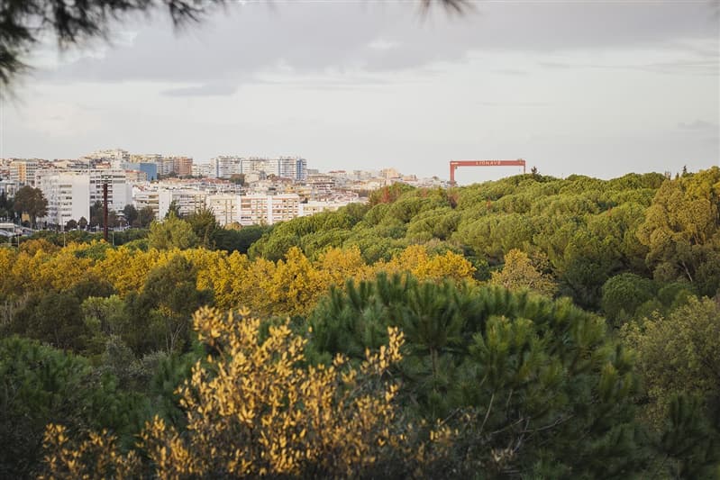 Almada Increases Corporate Tax Surcharge to 1.5% Maximum for 2026, Impacting Investors