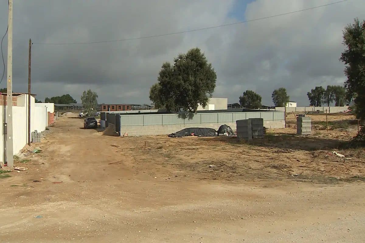 Palmela's Uncontrolled Illegal Development: A Warning for Foreign Investors