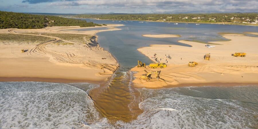 Environmental Concerns in Sesimbra: Pine Felling Near Lagoa de Albufeira Raises Questions for Property Development