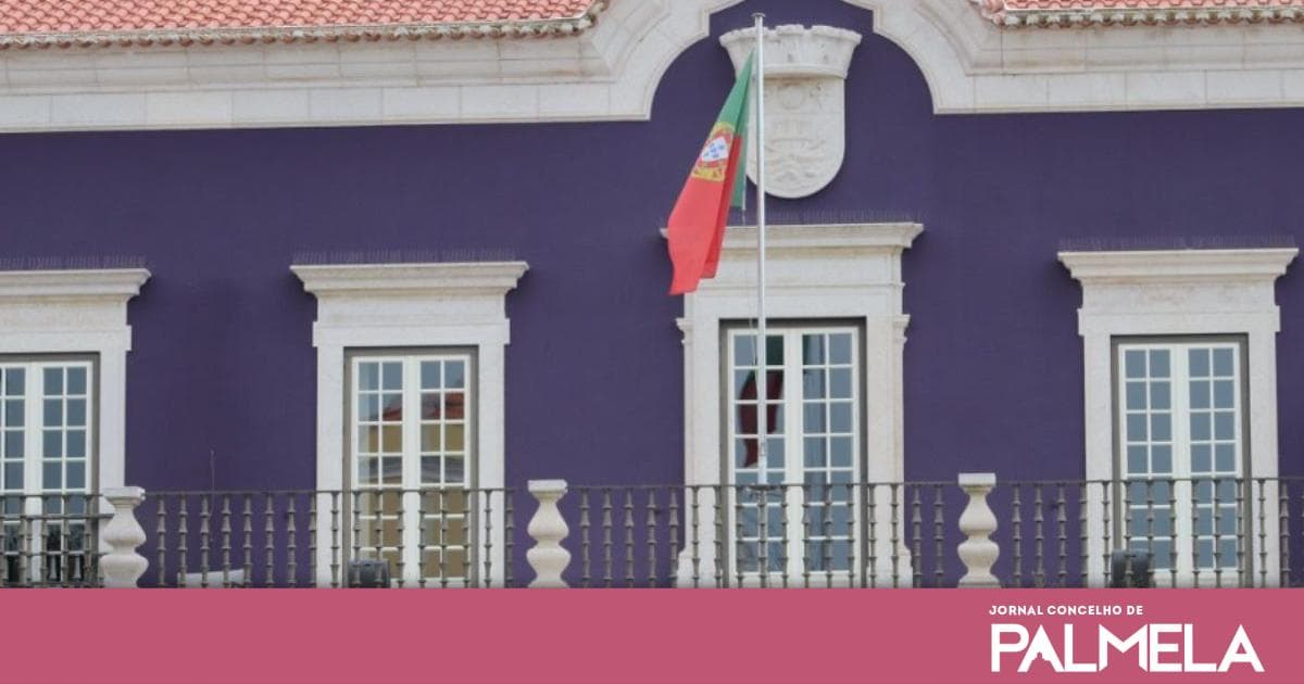 Setúbal Municipality Loses Millions in Land Deal Linked to Golden Visa Scheme