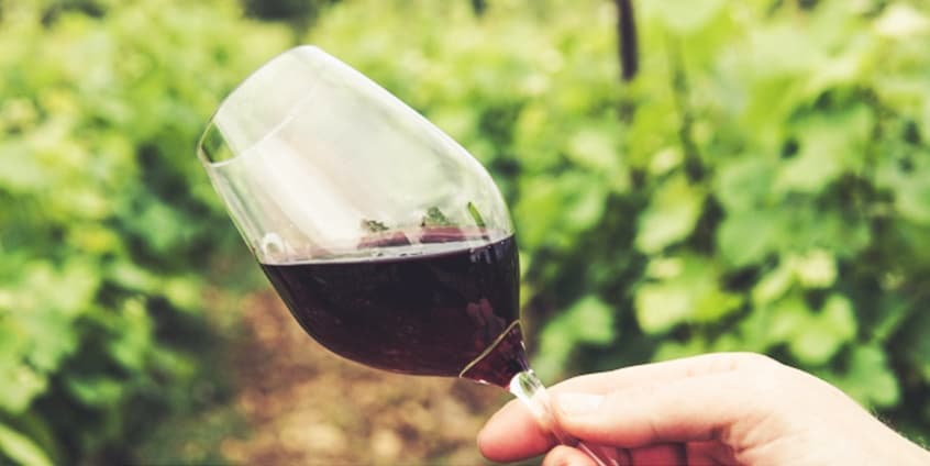 Colares Wine Heritage Status Could Boost Lisbon Real Estate Values