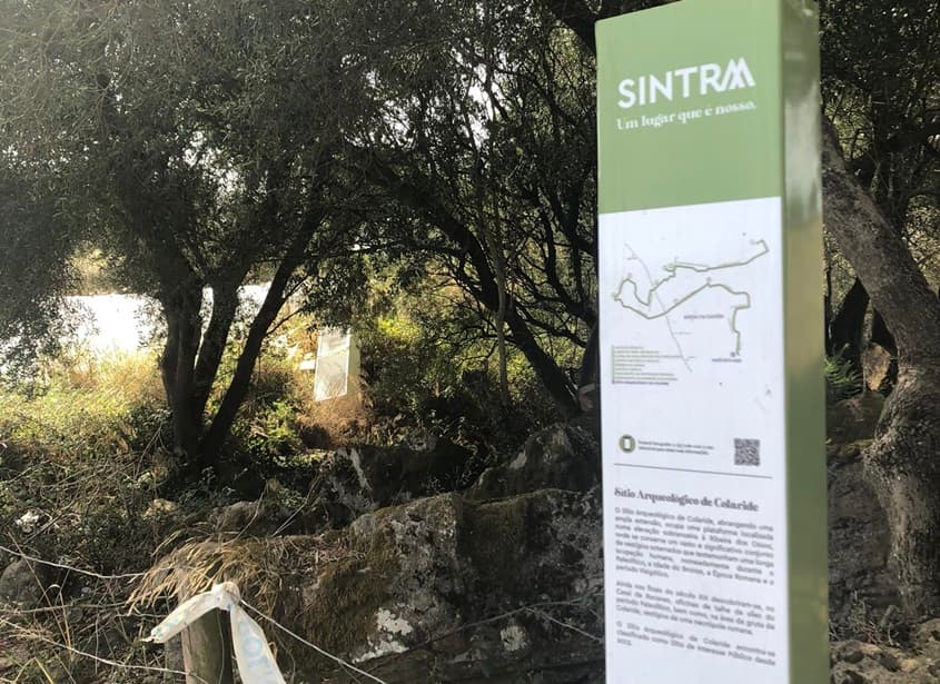 Sintra's Urban Green Space: Left Bloc Pushes for Alto de Colaride Park, Boosting Local Property Appeal
