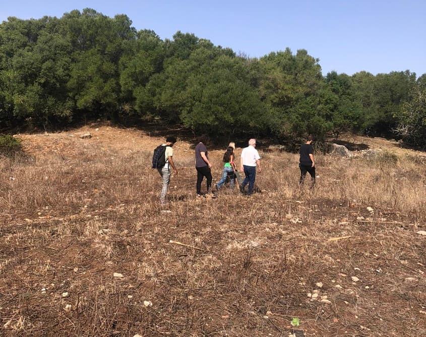 Sintra's Green Future: New 80-Hectare Park Proposal Could Boost Property Values in Lisbon's Suburbs