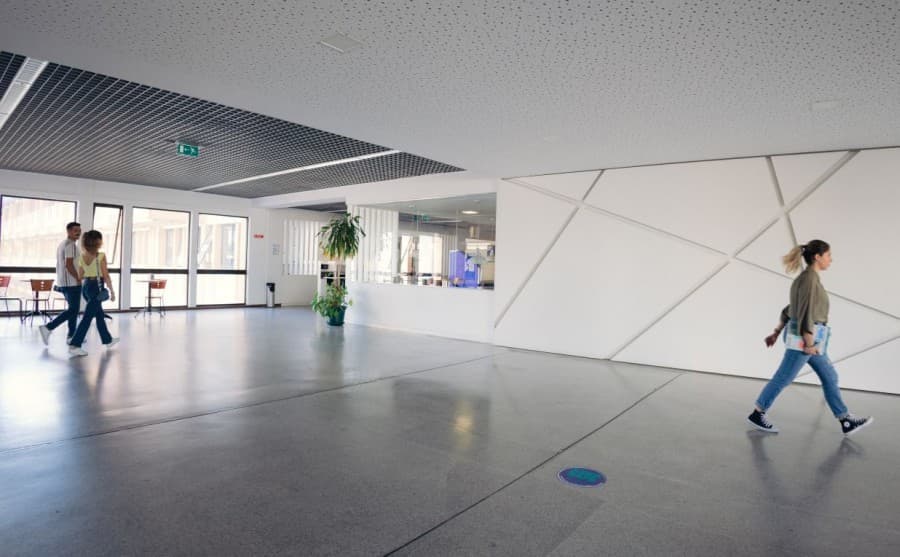 Setúbal Student Housing Market Faces Headwinds as Polytechnic Placements Drop 28%