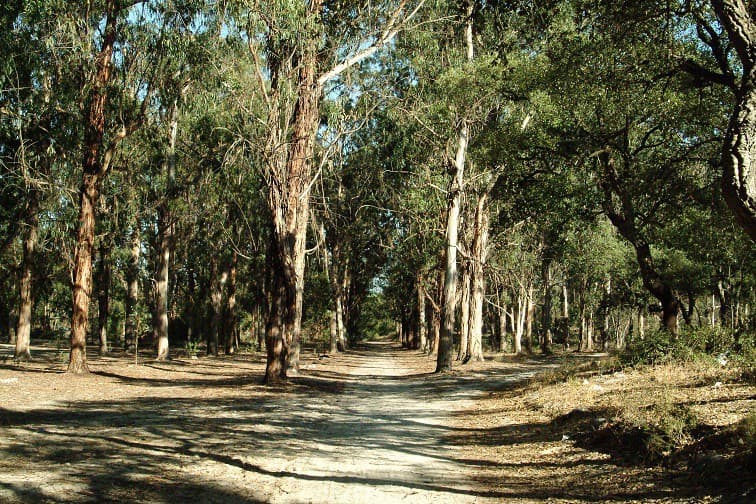 Portugal Extends National Fire Risk Alert: Property Use Restrictions in Effect Until Sunday